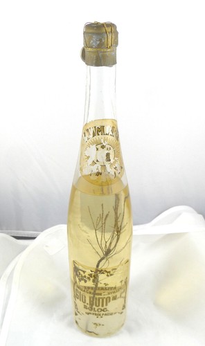 Bottiglia sigillata liquore - bottiglia,