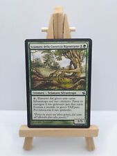 MTG Sciamano della Corteccia Rigenerante - Everbark Shaman EXC