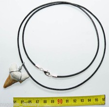 Collana Pendente Dente Di