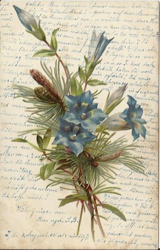 Stupenda cartolina svizzera - stupenda,