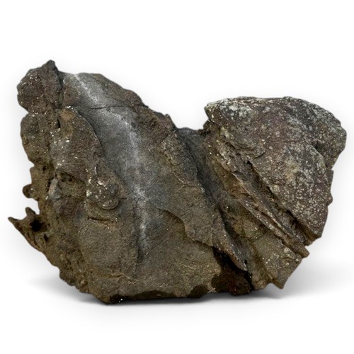 Pietra suiseki naturale - pietra,