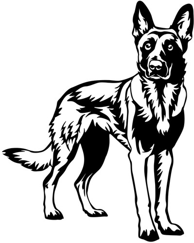 Adesivo malinois - malinois,