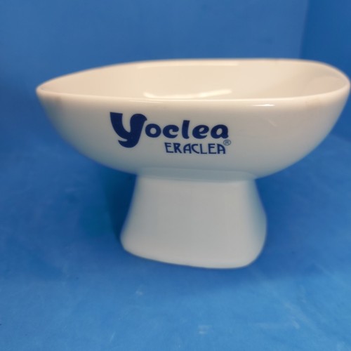 Yoclea eraclea porcellana - yoclea,