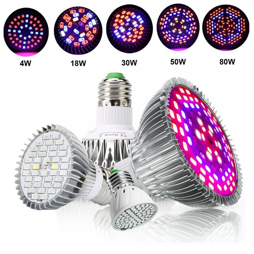 Lampadina lampada e27 - lampada,