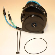 MOTORE BASCULANTE FUORIBORDO 4