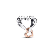 Moments Charm bicolori in