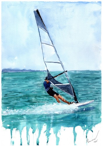 Dipinto wind surfer - un,