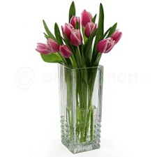 Bormioli Rocco Duemila Vaso