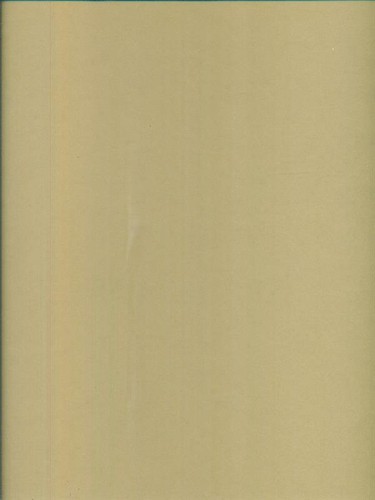 Raffaello cartone per la - raffaello., il