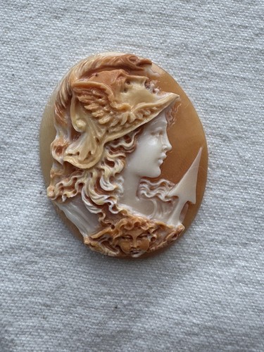Amazing shell cameo athena - shell, “athena