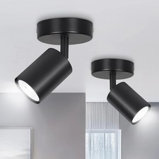 Faretti da Soffitto
