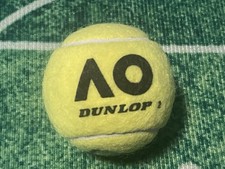 Pallina TENNIS DUNLOP