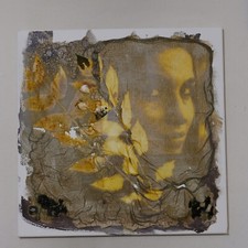 VOLTO DI DONNA TRA I RAMI -