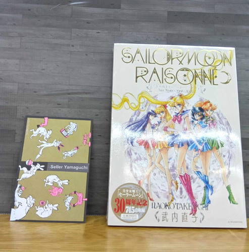 Sailor moon raisonne art - sailor,