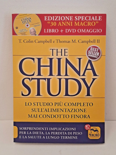 China study studio - lo,