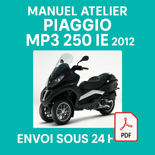 Manuel atelier piaggio - manuel, 3