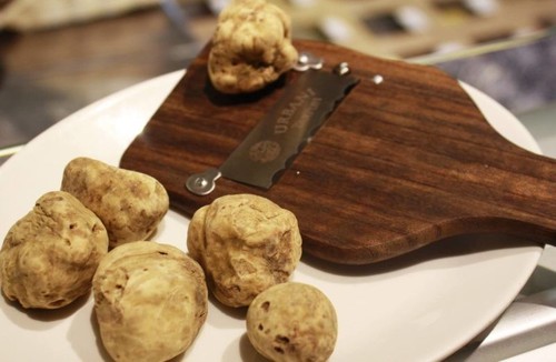 Tartufo bianco fresco tuber - tartufo,
