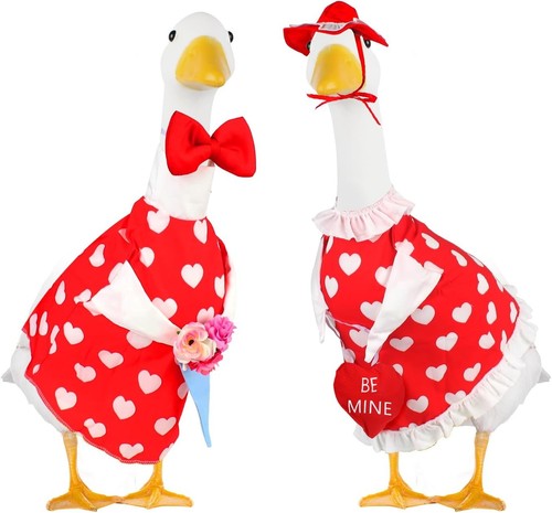 Costumi oca motivo cuore - motivo,