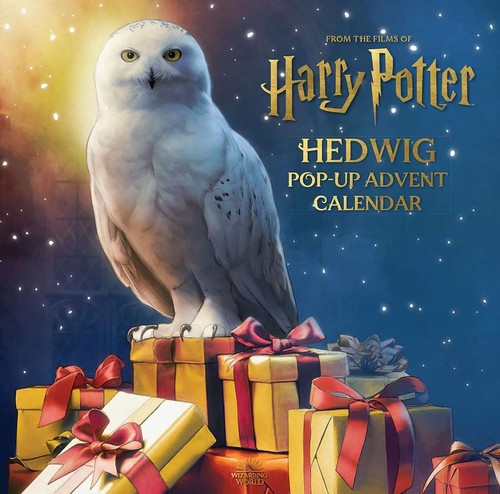Harry potter hedwig pop - harry,