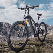 Heda 29 pollici Electric Bike