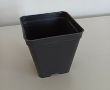 10 x VASO QUADRO DA ORTO