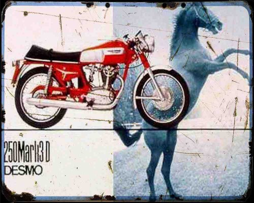Ducati 250 mark stampa - mark,