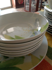 Servizio Piatti Vintage Nuovi  Tognana Porcellana