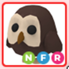 Gufo NFR - Adotta da me - Negozio economico e affidabile!!