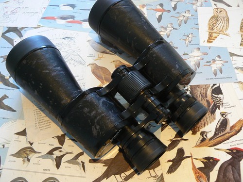 Exakta diana 8x56 binocolo - diana,