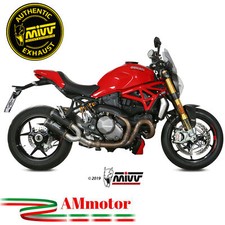 Mivv Ducati Monster 821 2020