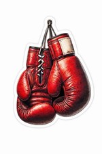 Guantoni da Boxe Adesivo