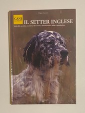 Setter inglese filippo - il,