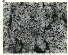 1994 press photo close - 1994,