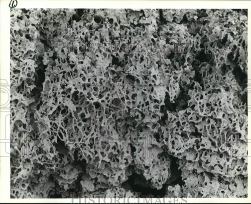 Foto stampa 1994 guarda - , da