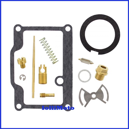Kit revisione carburatore - revisione,