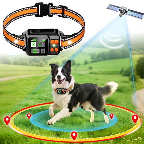 Gps sistema recinzione per - gps,