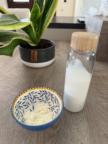 Grani di kefir - 15,