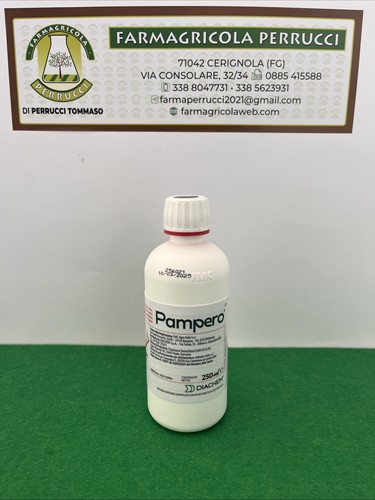 Pampero insetticida