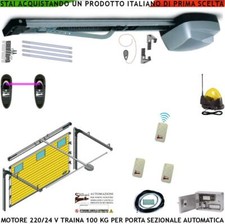 BASCULANTE AUTOMATISMO DA SOFFITTO MOTORE 220/24 V 100 KG 3 RADIOC FOTOC FAROANT