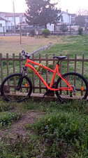 Bicicletta uomo modello - modello, bwin
