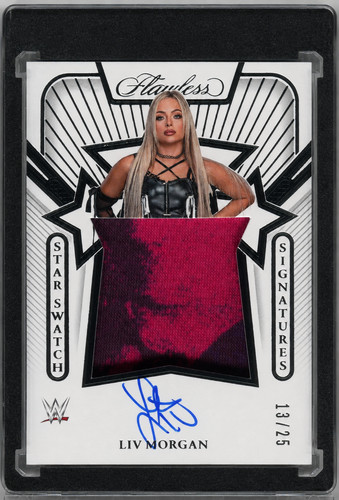 2024 wwe flawless - 2024, star
