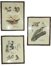 Stampe acquerello storia