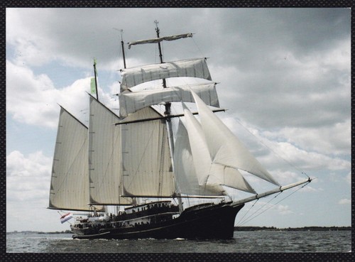 Cartolina gulden leeuw - cartolina,
