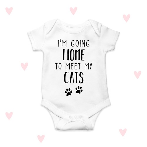 Meet cats baby - meet,