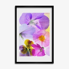 Quadro tulup mdf incorniciato - quadro,