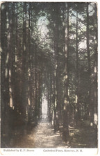 Cattedrale Pines-Hanover, New