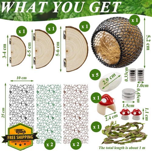 Jumping spider habitat - jumping,