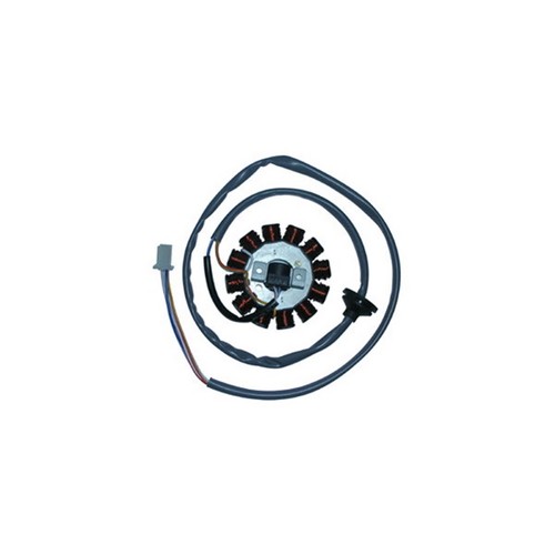 Statore campo magnetico - statore,