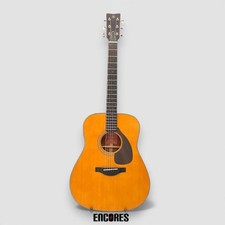 Chitarra elettrica acustica