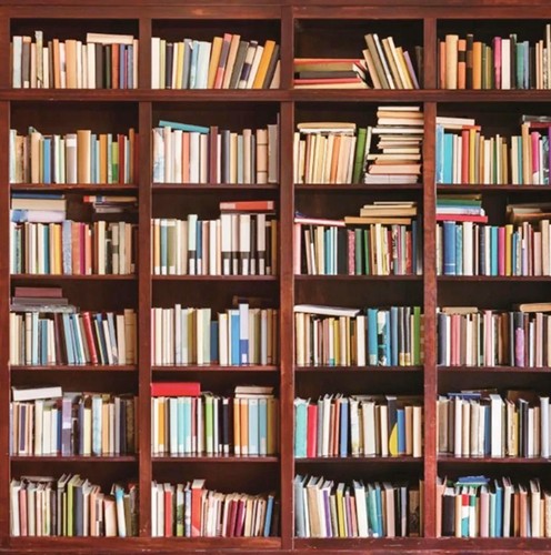 Lotto libri misti - 25,